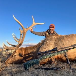 A happy hunter wearing an orange hat posing with his rifle and bull elk in the grass in Wyoming
